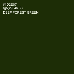 #1D2E07 - Deep Forest Green Color Image